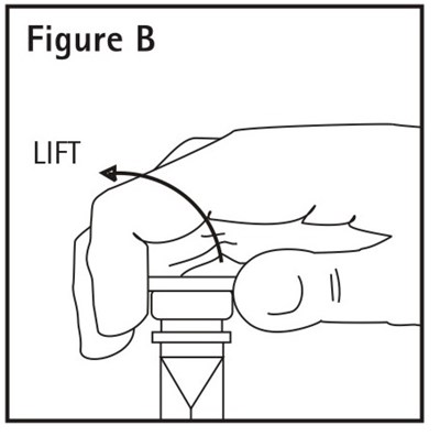 Figure B (Picture 2)